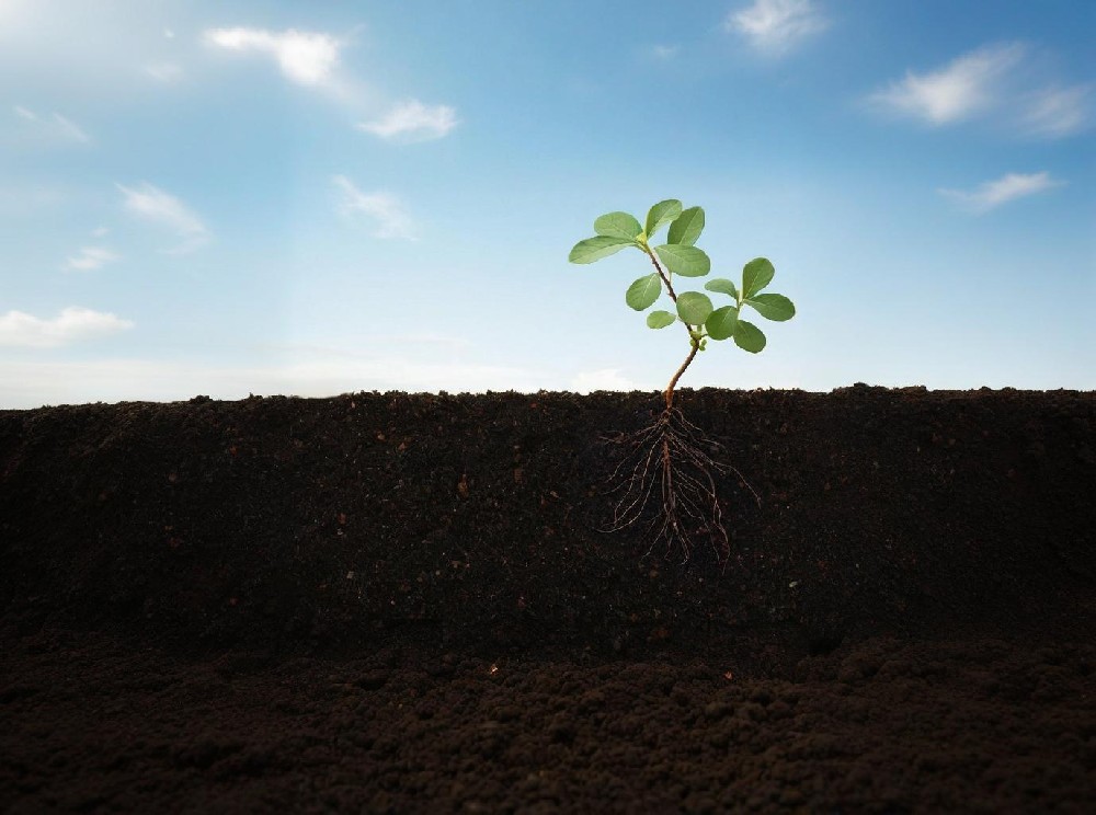 黄瓜视频APP免费观看下载安装環境檢測實驗室方案